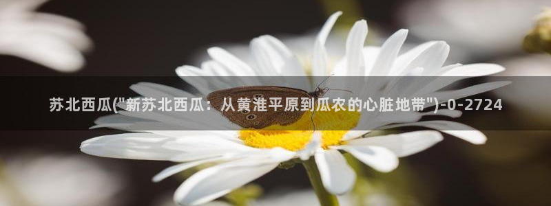 西瓜网影视