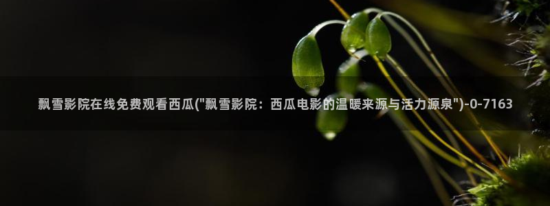 西瓜影院韩国理论影片