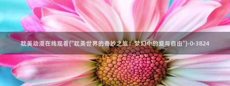 动漫岛