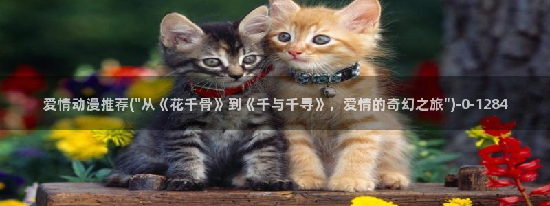 高分动漫