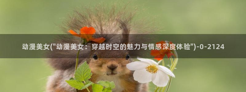 58动漫网站