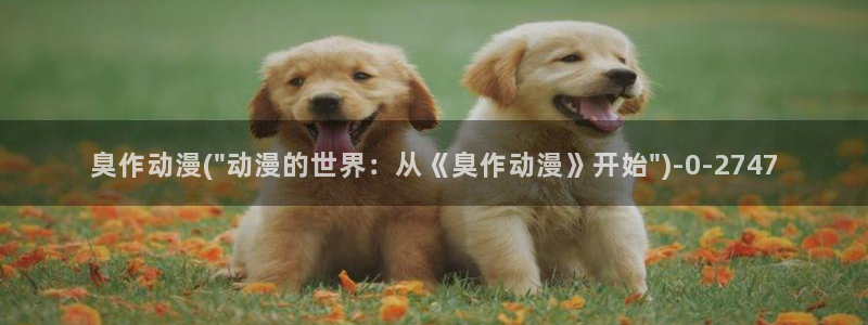 黄页动漫网站