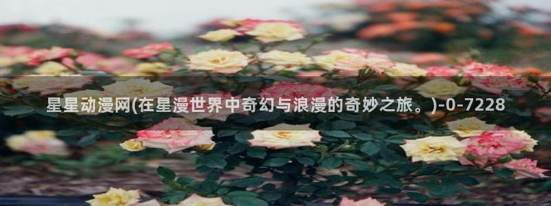 露点动漫